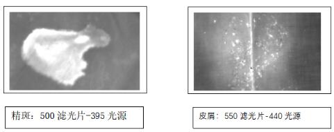 QQ鎴浘20191113172133.jpg QQ鎴浘20191113172133.jpg
